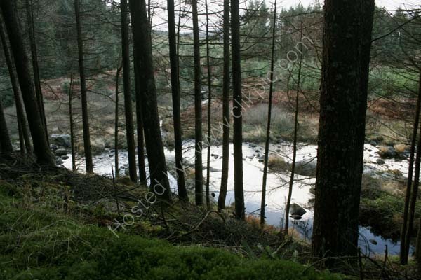nov07 (3)